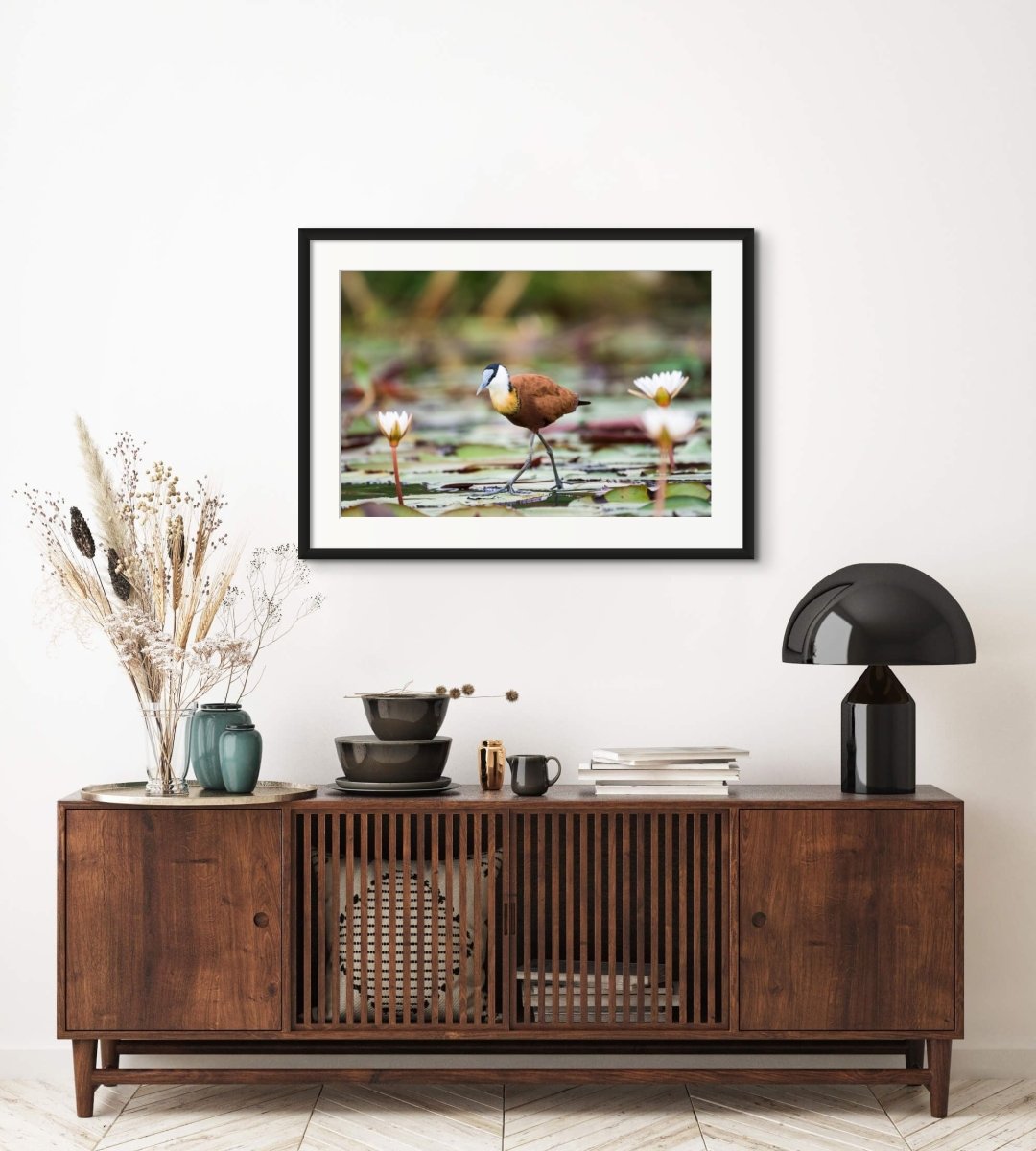 LILY TROTTER - Fine Art Print - Limited edition - Wall art - African Wildlife Photography