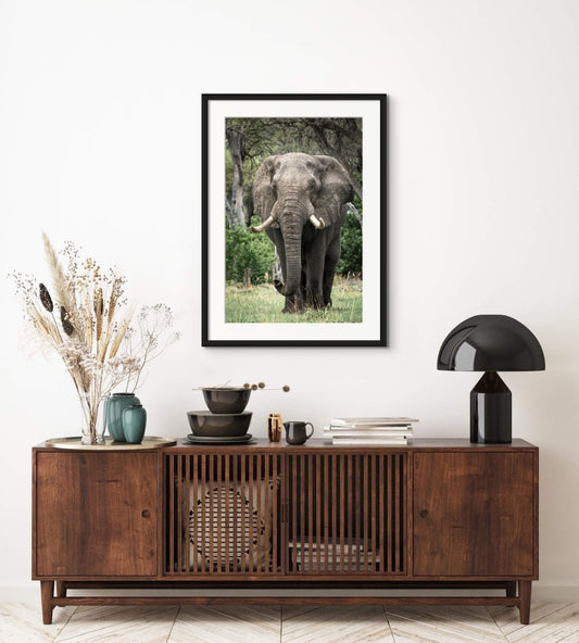 MAJESTIC MUSTH - Fine Art Print - Limited edition - Wall art - African Wildlife Photography