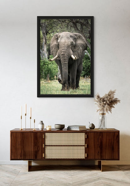 MAJESTIC MUSTH - Fine Art Print - Limited edition - Wall art - African Wildlife Photography