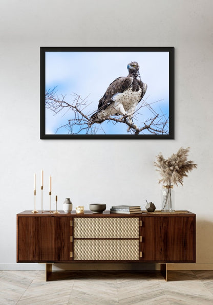 MARTIAL LAW - Fine Art Print - Limited edition - Wall art - African Wildlife Photography