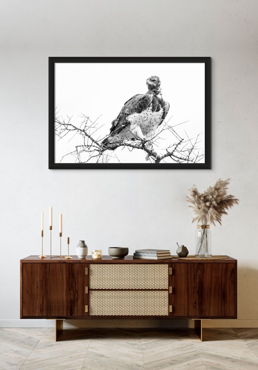 MARTIAL LAW - HI-KEY - Fine Art Print - Limited edition - Wall art - African Wildlife Photography