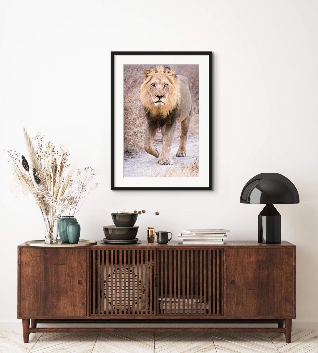 ON PATROL - Fine Art Print - Limited edition - Wall art - African Wildlife Photography