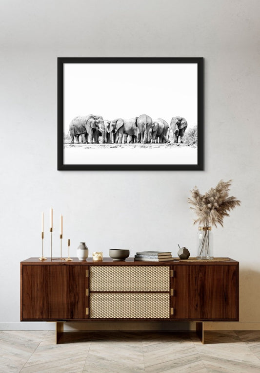 ORGANISED CHAOS - Fine Art Print - Limited edition - Wall art - African Wildlife Photography