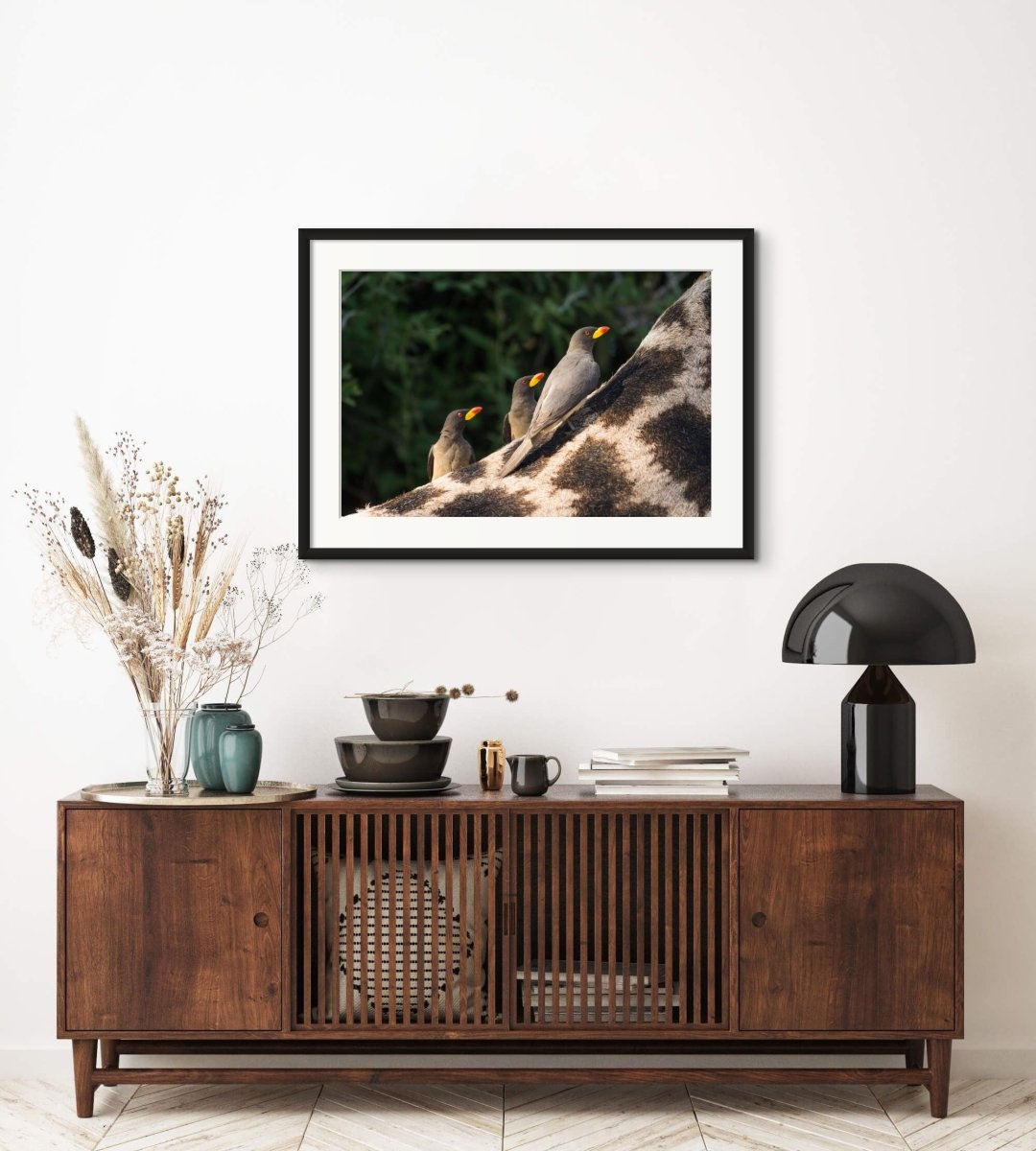 PARASITE PATROL - Fine Art Print - Limited edition - Wall art - African Wildlife Photography