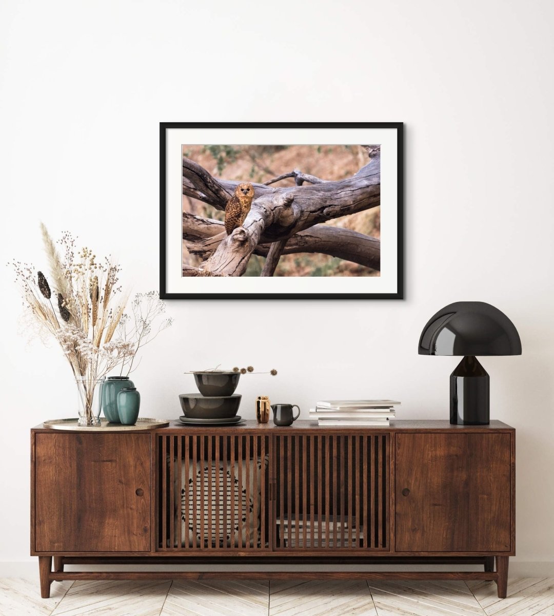 PATIENT PELS - Fine Art Print - Limited edition - Wall art - African Wildlife Photography