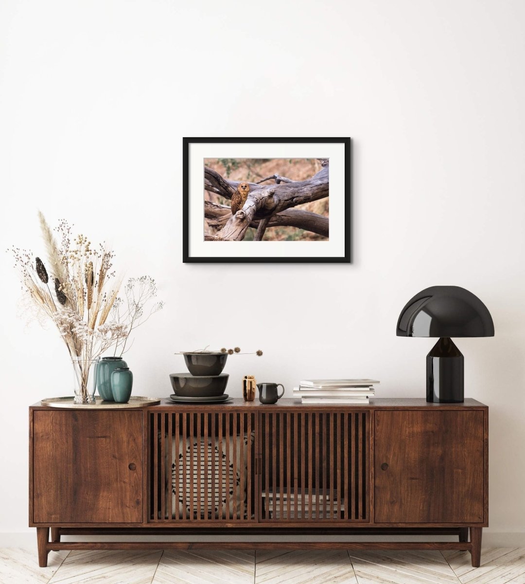 PATIENT PELS - Fine Art Print - Limited edition - Wall art - African Wildlife Photography