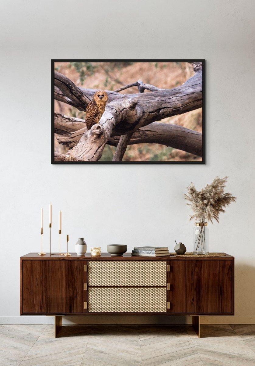 PATIENT PELS - Fine Art Print - Limited edition - Wall art - African Wildlife Photography