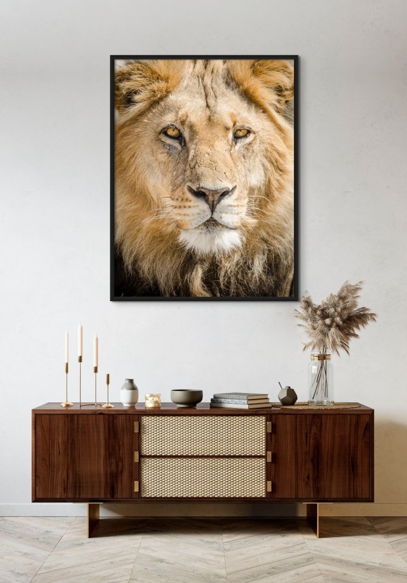 ROYALTY - Fine Art Print - Limited edition - Wall art - African Wildlife Photography