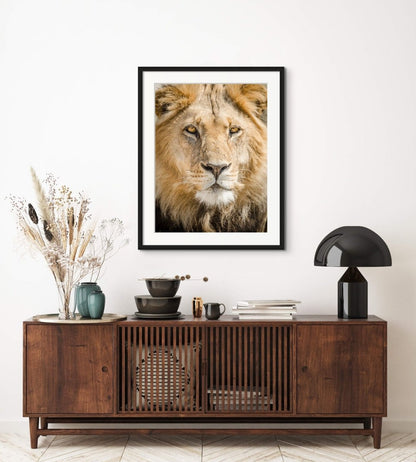 ROYALTY - Fine Art Print - Limited edition - Wall art - African Wildlife Photography