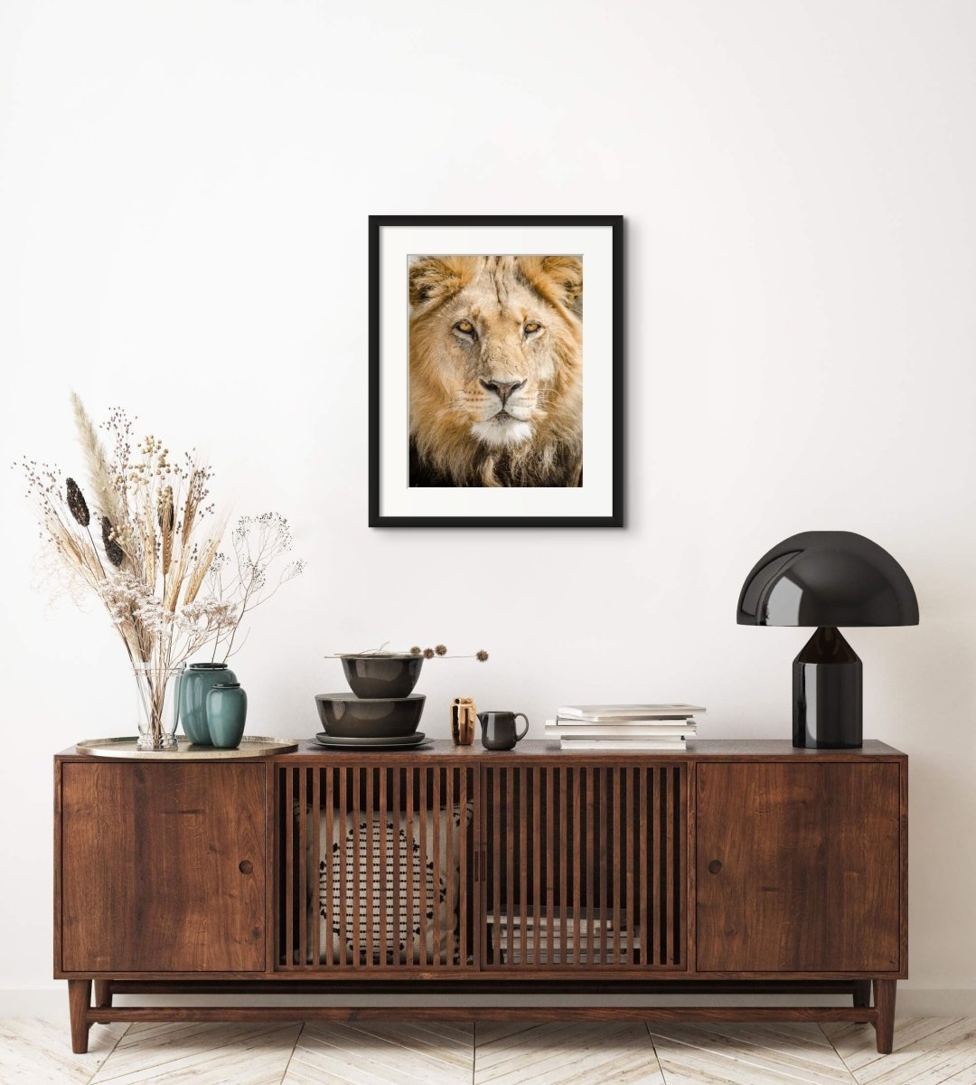 ROYALTY - Fine Art Print - Limited edition - Wall art - African Wildlife Photography