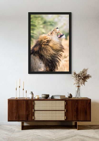 SCENT - Fine Art Print - Limited edition - Wall art - African Wildlife Photography