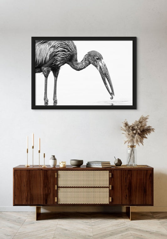 SPECIALIST - Fine Art Print - Limited edition - Wall art - African Wildlife Photography