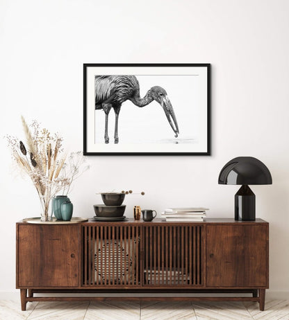 SPECIALIST - Fine Art Print - Limited edition - Wall art - African Wildlife Photography