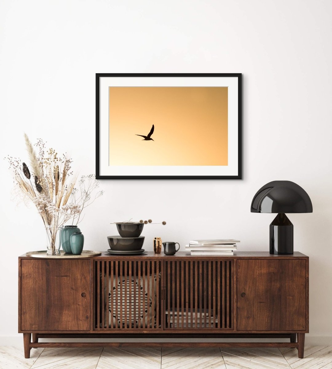 SUNSET SKIMMER - Fine Art Print - Limited edition - Wall art - African Wildlife Photography