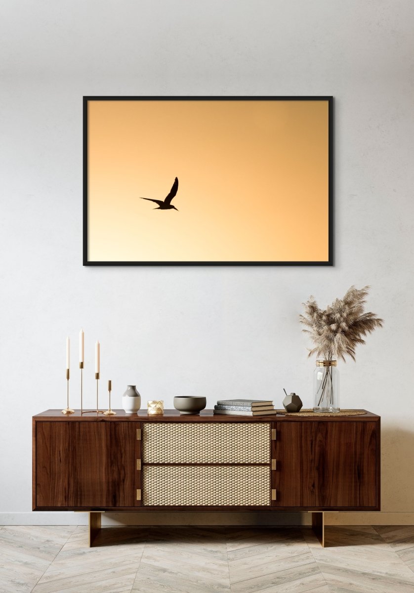 SUNSET SKIMMER - Fine Art Print - Limited edition - Wall art - African Wildlife Photography