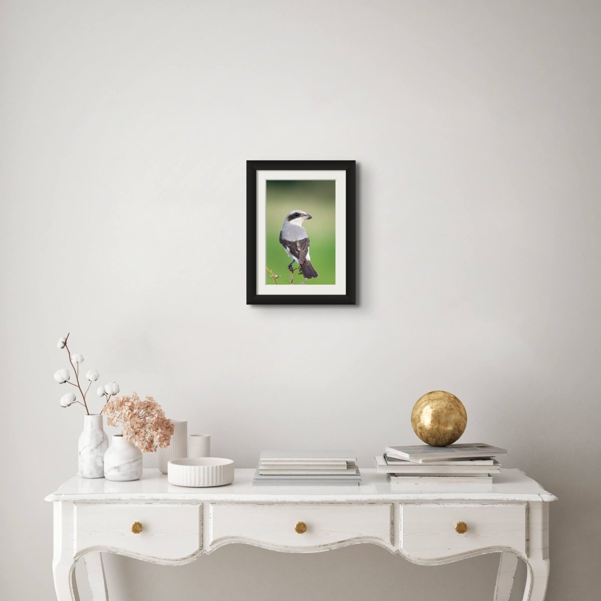 SUPER SHRIKE - Fine Art Print - Limited edition - Wall art - African Wildlife Photography