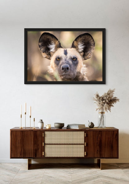 SURROUND SOUND- Fine Art Print - Limited edition - Wall art - African Wildlife Photography