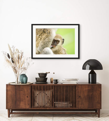 TENDERNESS - Fine Art Print - Limited edition - Wall art - African Wildlife Photography