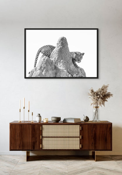 TERMINATOR - Fine Art Print - Limited edition - Wall art - African Wildlife Photography