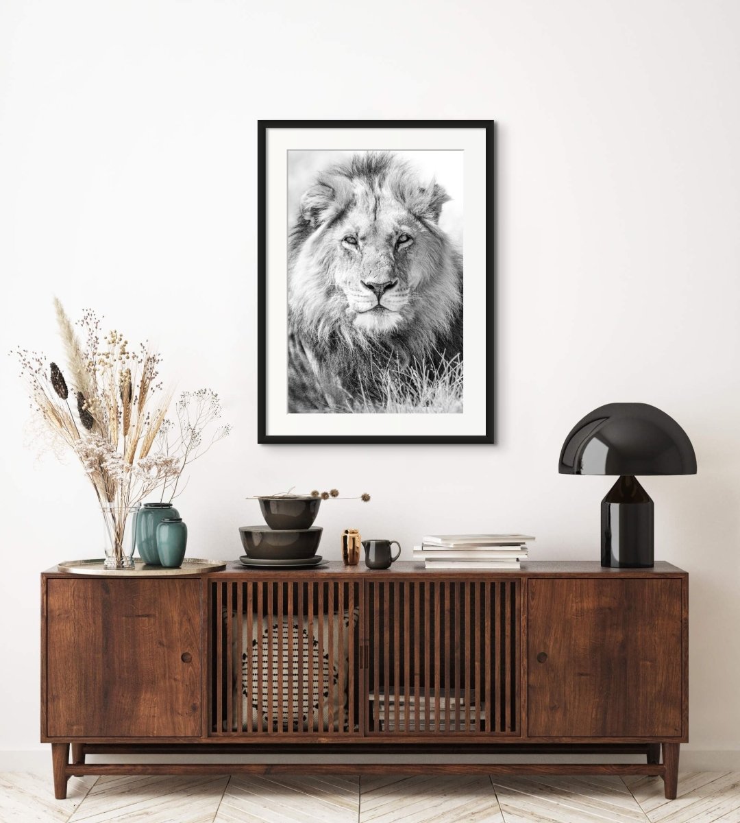 THE CONQUERER - Fine Art Print - Limited edition - Wall art - African Wildlife Photography