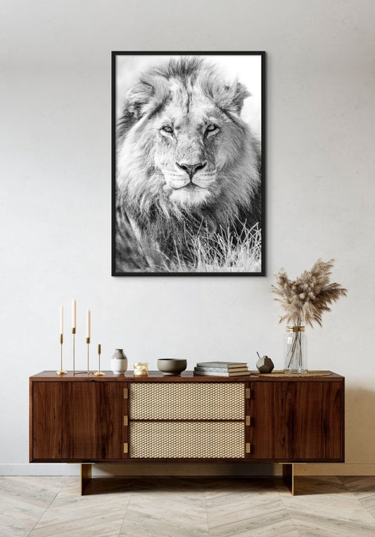 THE CONQUERER - Fine Art Print - Limited edition - Wall art - African Wildlife Photography