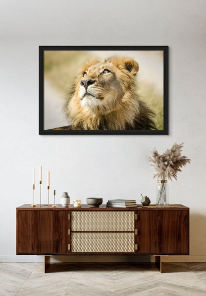 THE DREAMER - Fine Art Print - Limited edition - Wall art - African Wildlife Photography