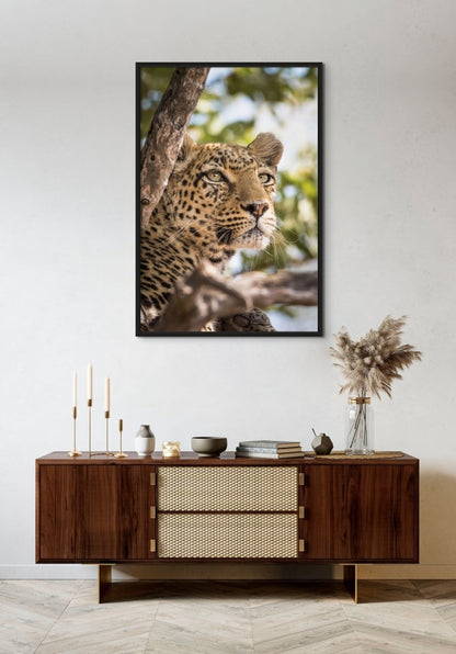 THE HUNTRESS - Fine Art Print - Limited edition - Wall art - African Wildlife Photography