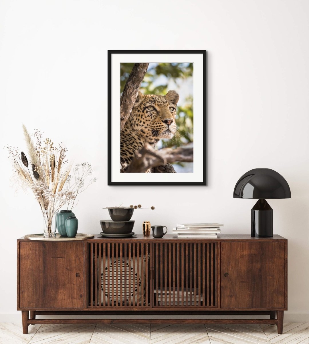 THE HUNTRESS - Fine Art Print - Limited edition - Wall art - African Wildlife Photography