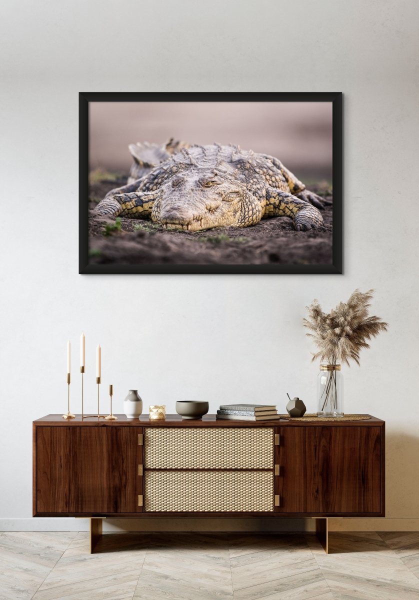 THE NILE SMILE - Fine Art Print - Limited edition - Wall art - African Wildlife Photography