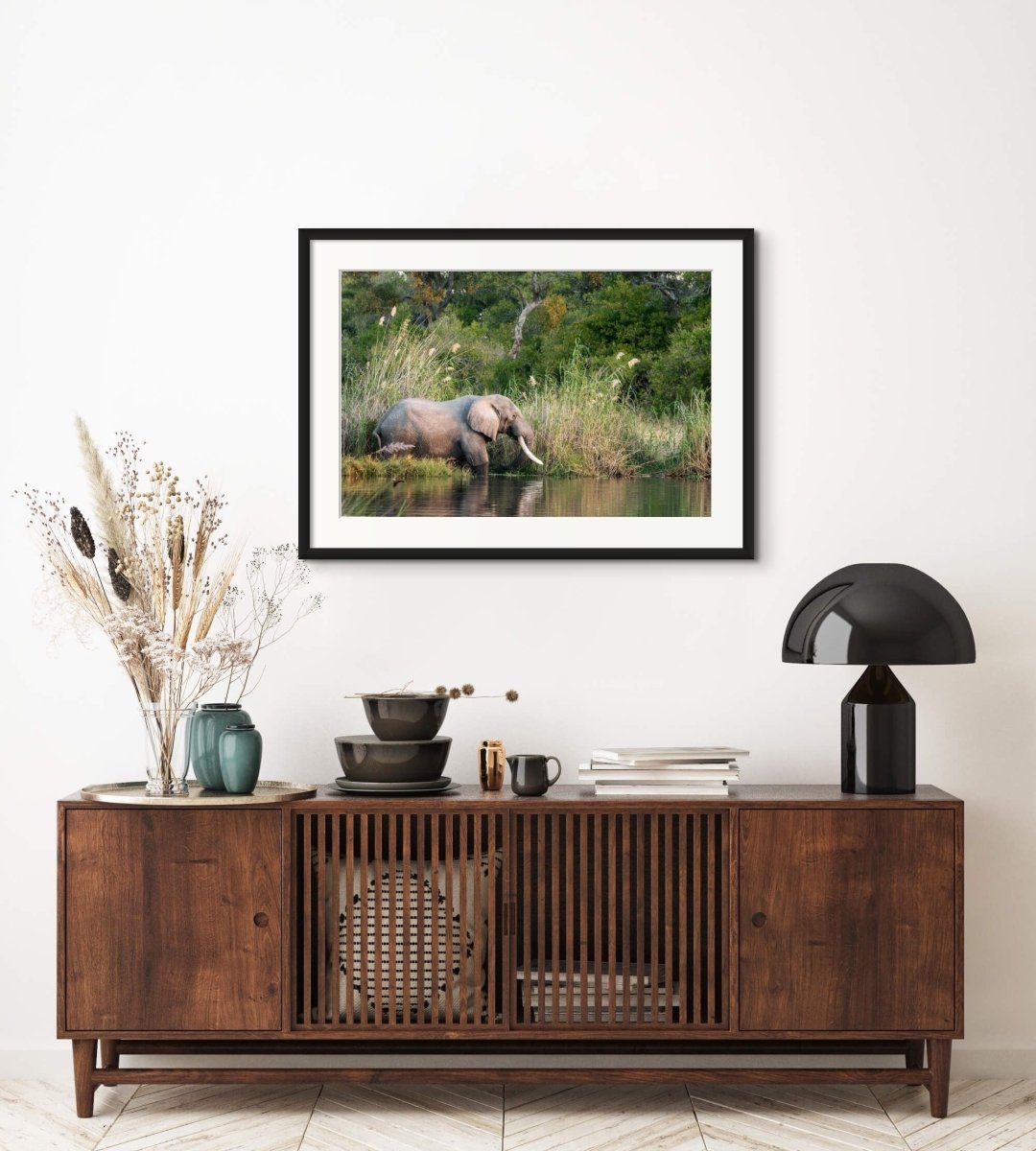 TUSKER - Fine Art Print - Limited edition - Wall art - African Wildlife Photography