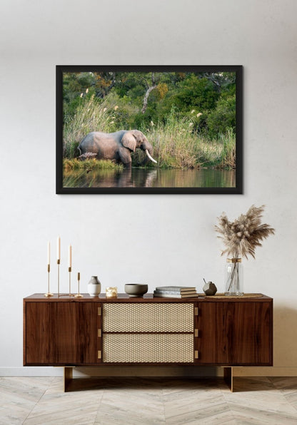 TUSKER - Fine Art Print - Limited edition - Wall art - African Wildlife Photography