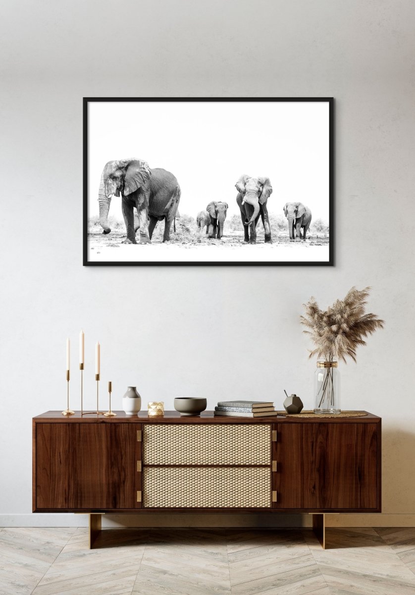 WET WISDOM - Fine Art Print - Limited edition - Wall art - African Wildlife Photography