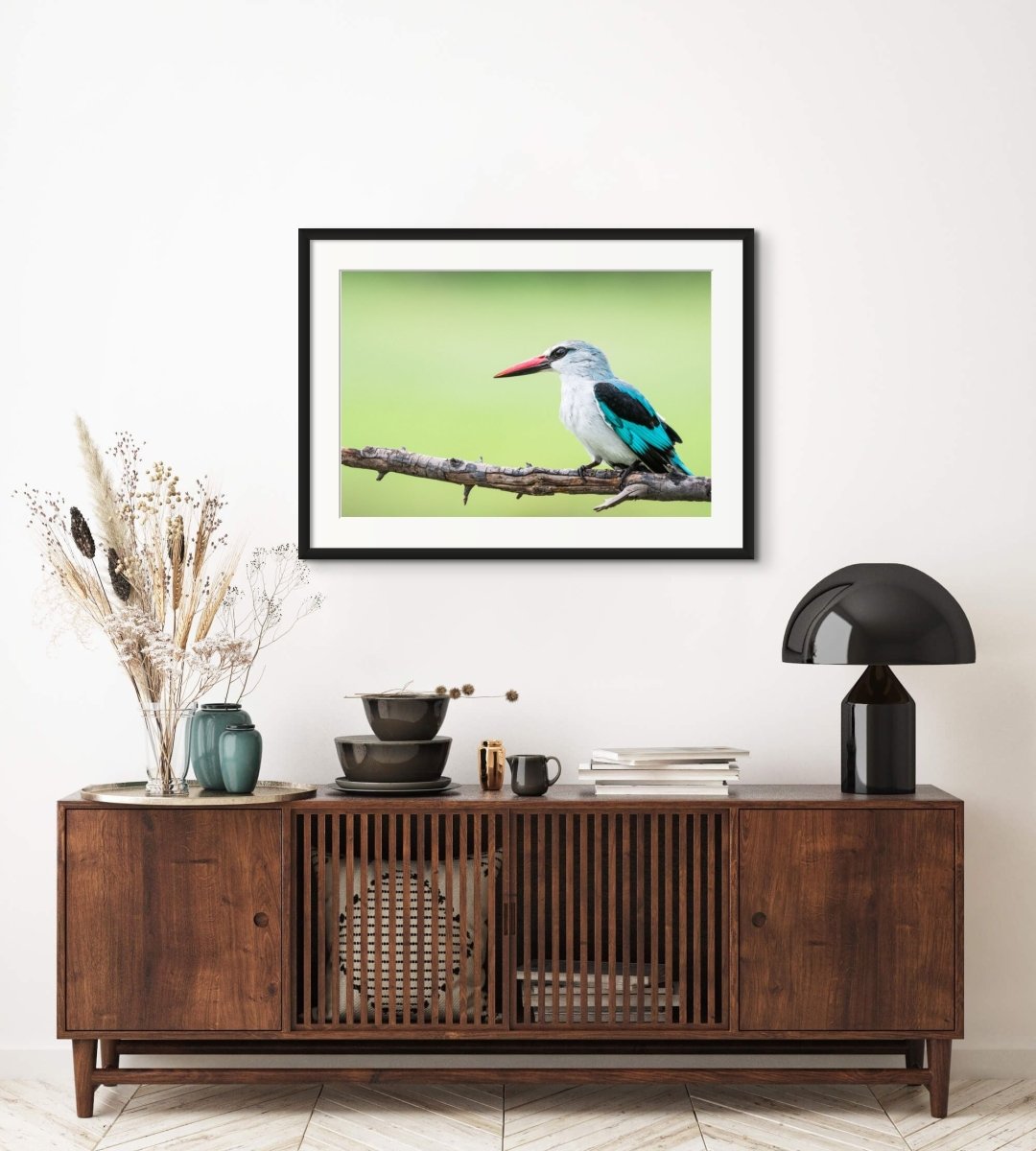 WOODLAND WONDER - Fine Art Print - Limited edition - Wall art - African Wildlife Photography