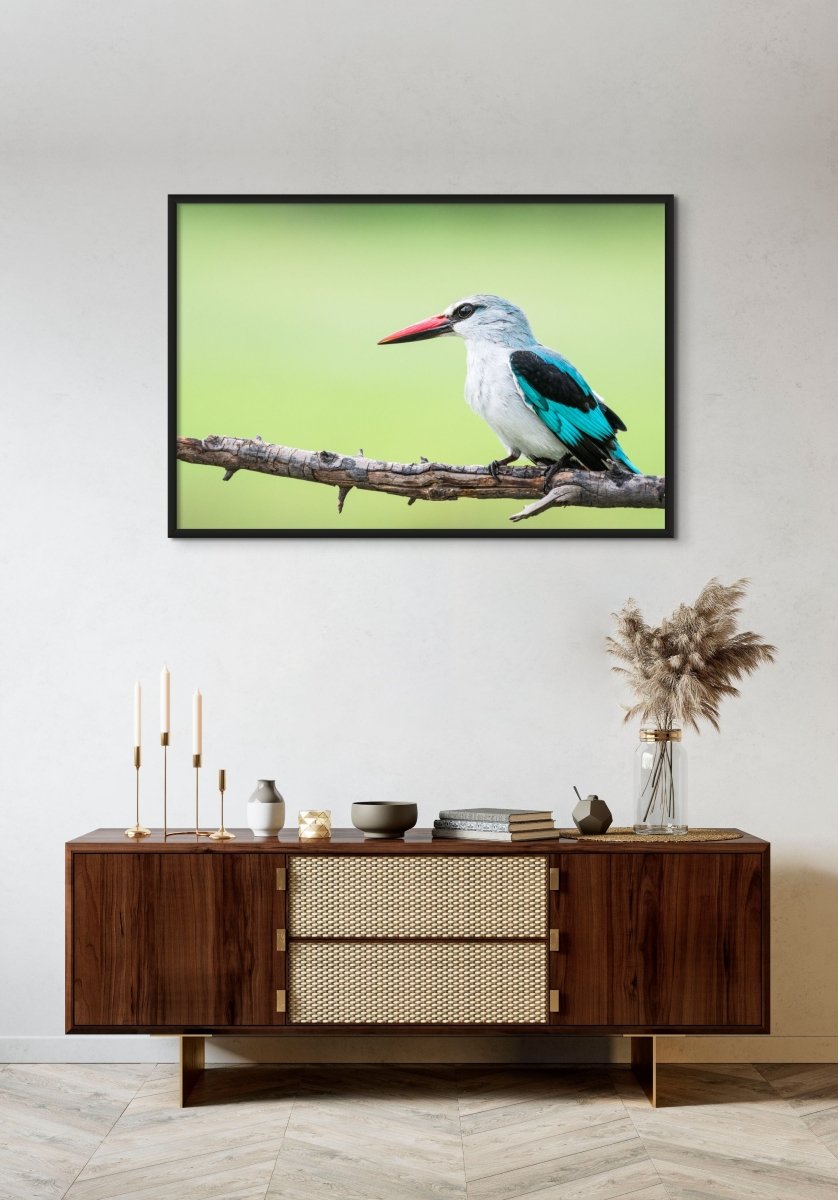 WOODLAND WONDER - Fine Art Print - Limited edition - Wall art - African Wildlife Photography